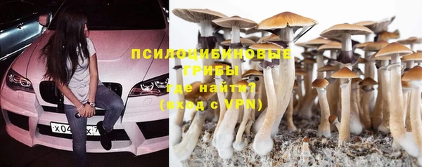 марки nbome Новозыбков